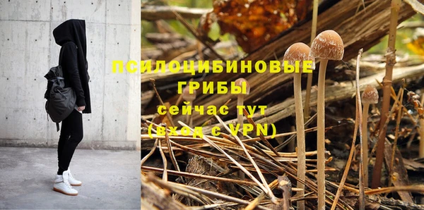 прущий лед Володарск