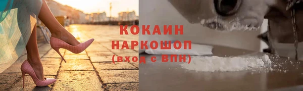 дживик Горняк