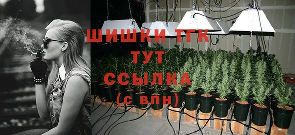 apvp Вяземский