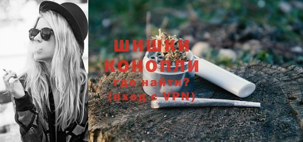 apvp Вяземский