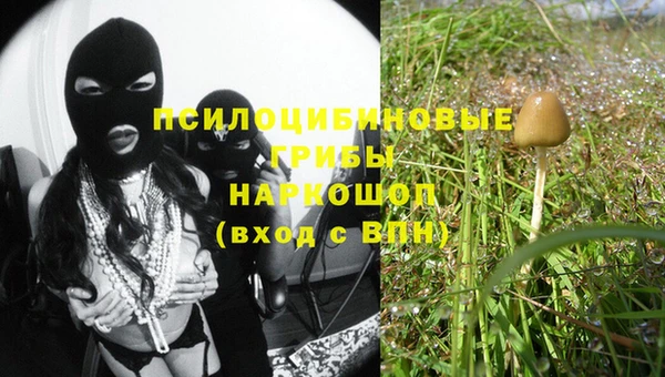 дживик Горняк
