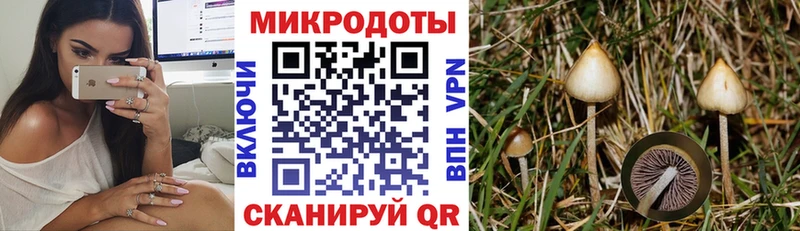 блэк спрут ссылка  Далматово  Галлюциногенные грибы Psilocybine cubensis  как найти наркотики 